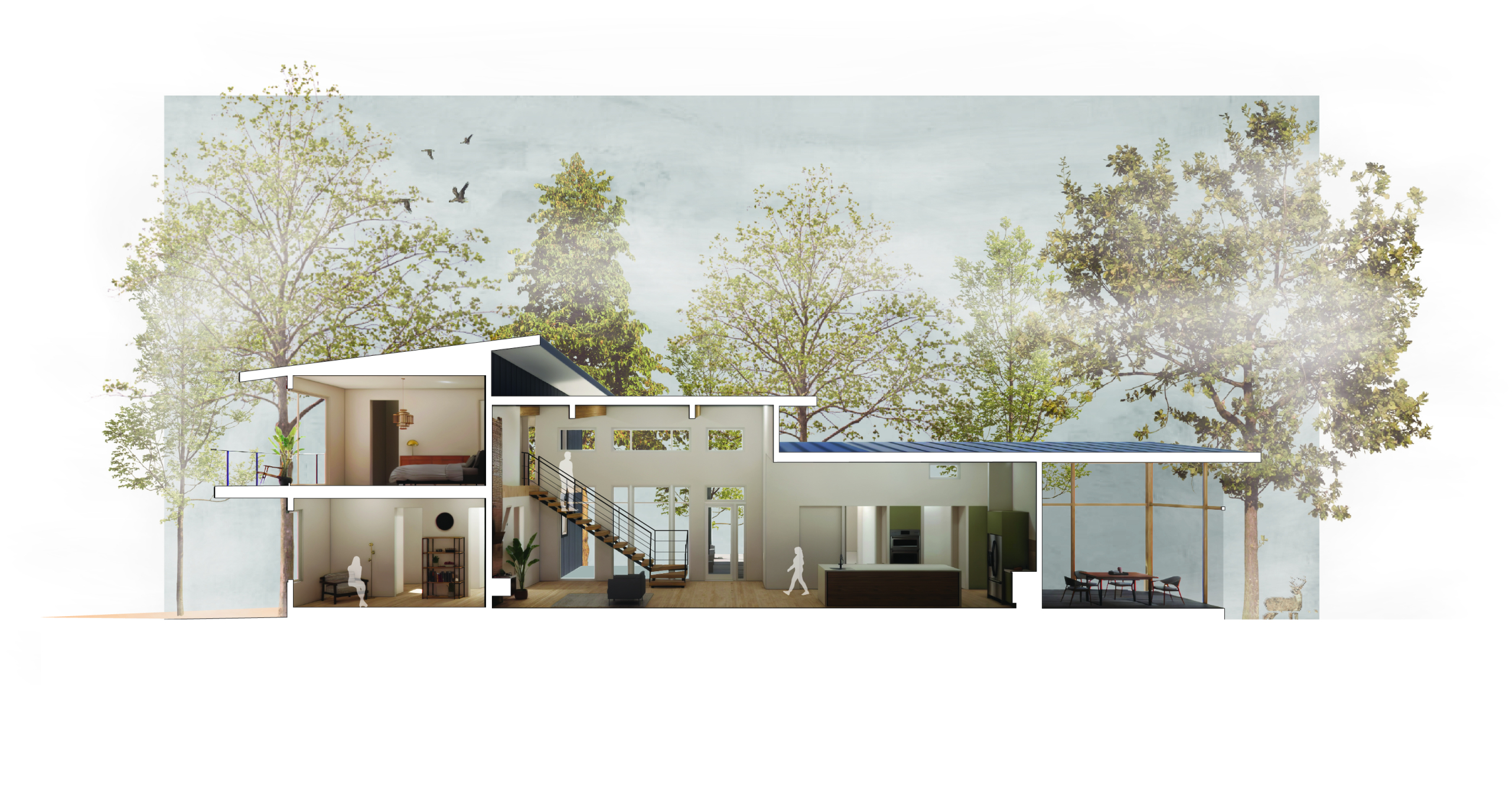 Section Perspective